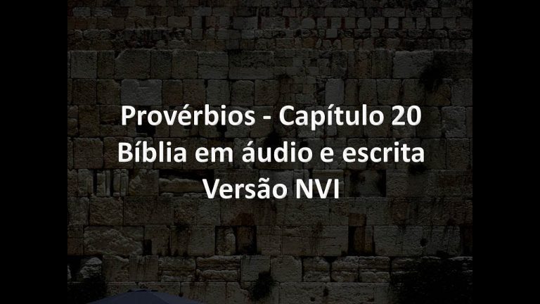 Provérbios Capítulo 20   Bíblia em áudio e escrita   Versão NVI