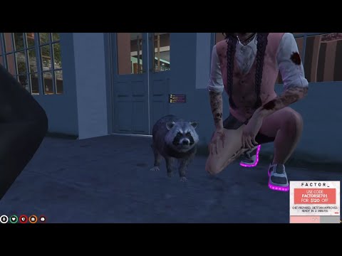 2022-05-05 #1 Furry of Los Santos (Animals) — NoPixel RP