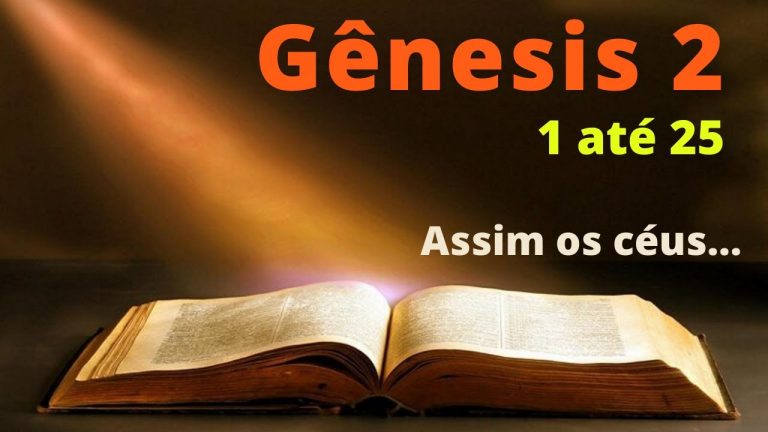 BÌBLIA ONLINE, leitura da biblia livro de Gênesis, estudos da bìblia.