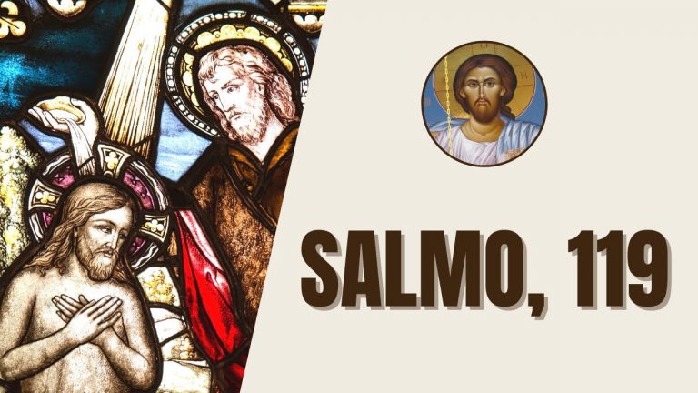 Salmo, 119 – “Dichosos los que sin yerro andan el camino y caminan según la Ley del Señor.”