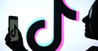 TikTok announces its first awards show in the US | TechCrunch