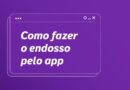 Como fazer o endosso pelo app Youse?