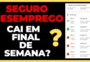 SEGURO DESEMPREGO CAI EM FINAL DE SEMANA