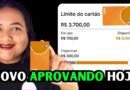 ACABOU DE CHEGAR, NOVISSIMO CARTÃO DE CREDITO APROVANDO NA HORA ATÉ NEGATIVADO