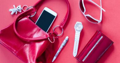 Pouco conhecido, seguro para bolsa pode salvar seu Carnaval – CQCS