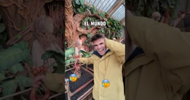 Cual es el mejor seguro de viaje internacional? ✈️🔐​⁠@heymondo #segurodeviaje #viajes #viajar