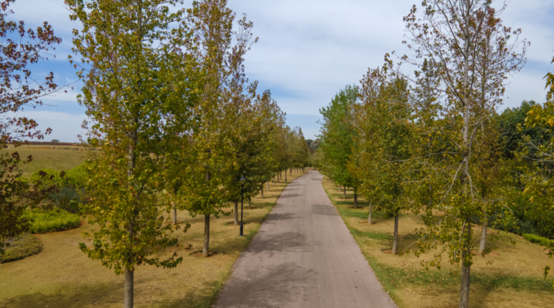 JHSF Lança Boa Vista Estates em Área de 7 Milhões de metros quadrados Para Apenas 250 Famílias