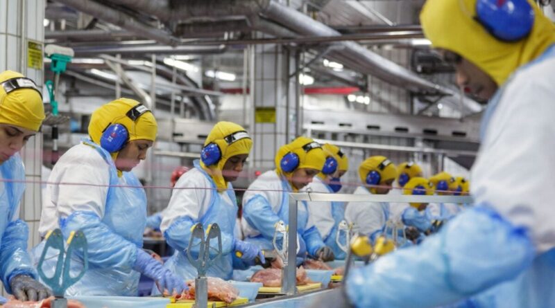 MBRF Tem Lucro de R$ 358 Milhões em 2025 e Projeta Vantagem Logística no Oriente Médio